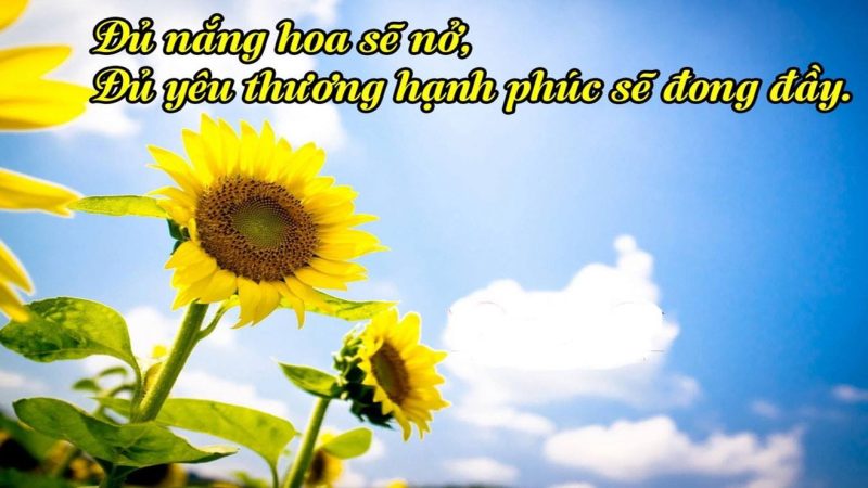 Thế nào là hạnh phúc ?