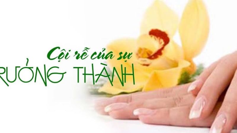 Cội rễ của sự trưởng thành
