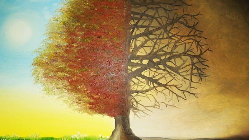 GỬI NGƯỜI … LÀM VỢ