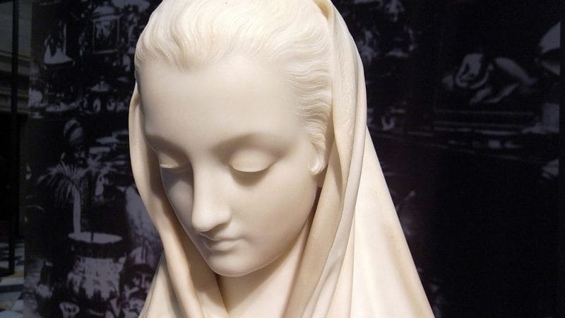 Sự khiêm nhường – Vẻ đẹp vượt thời gian