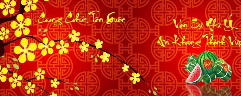 Tết, Tết là gì?