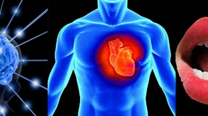 Trái Tim, Bộ Óc Và Cái Lưỡi