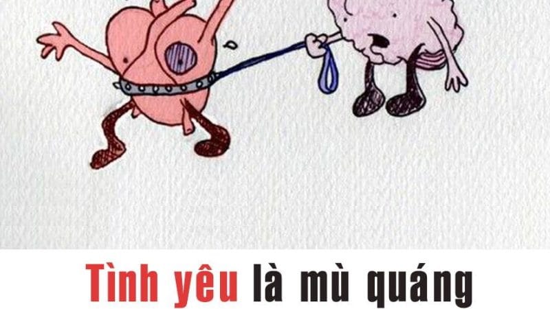 CÂU CHUYỆN GIỮA TÌNH YÊU VÀ LÝ TRÍ