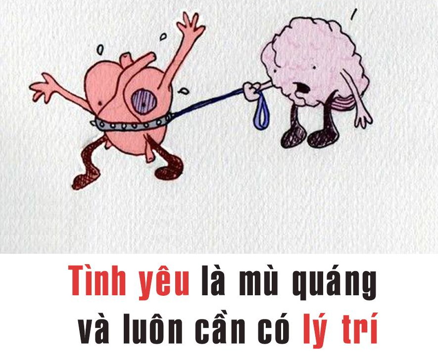 CÂU CHUYỆN GIỮA TÌNH YÊU VÀ LÝ TRÍ