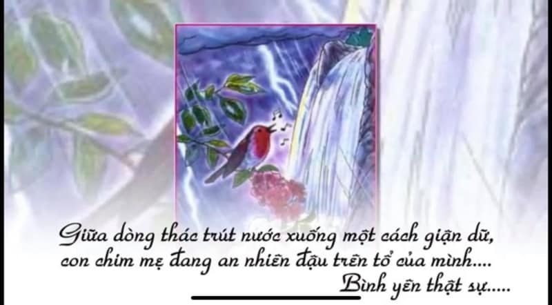 SỰ BÌNH YÊN ĐÍCH THỰC