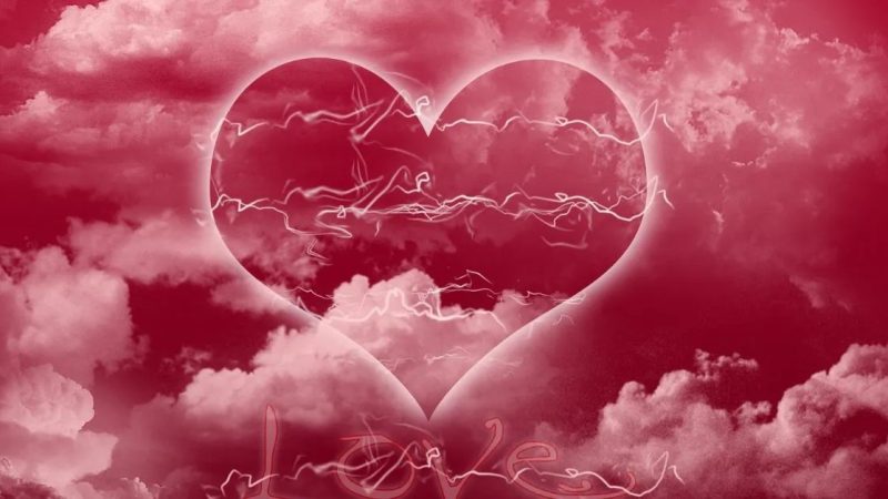 Tiếng nói của trái tim