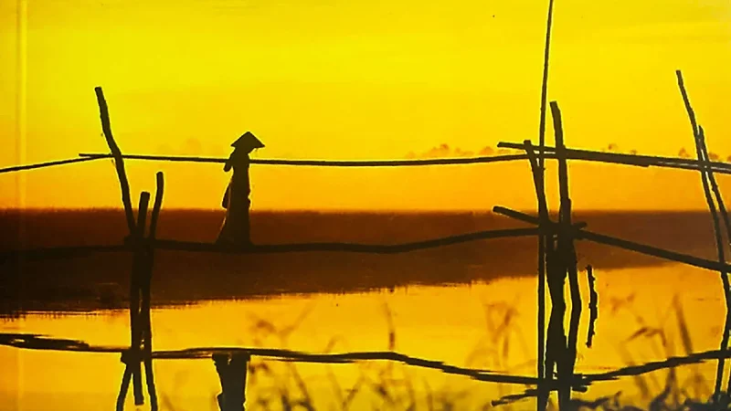 TÌNH HUYNH ĐỆ