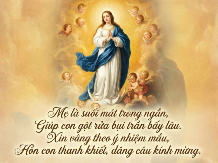 Hừng Đông Của Ơn Cứu Độ