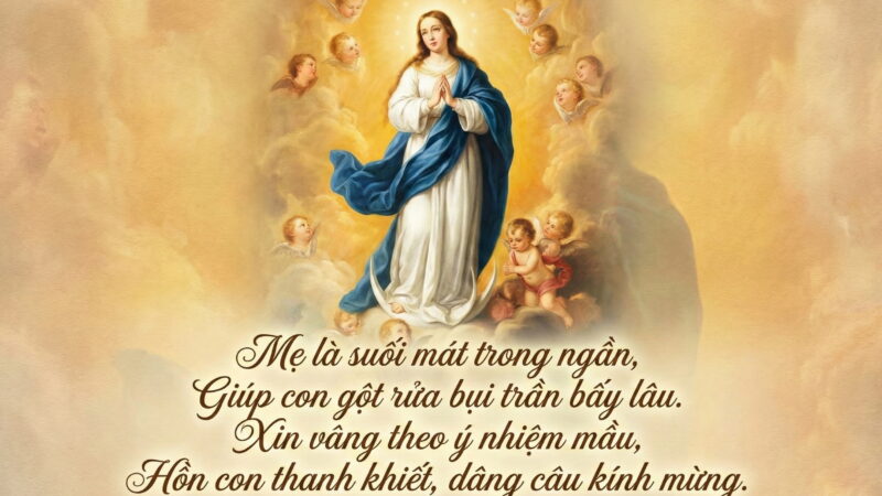 Hừng Đông Của Ơn Cứu Độ