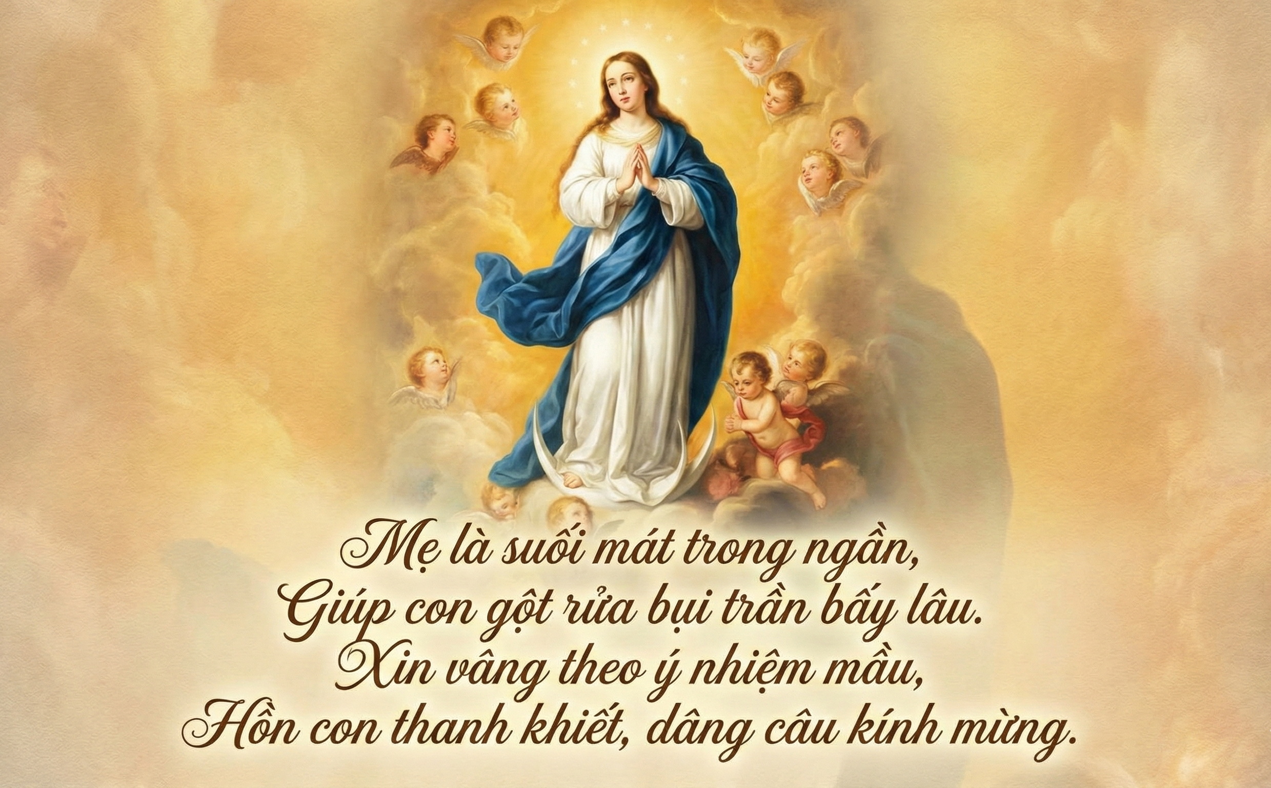 Hừng Đông Của Ơn Cứu Độ