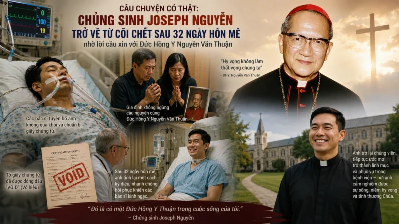 “Tôi Đã Gặp Đức Hồng Y Thuận Hai Lần” – Chứng Từ Gây Xúc Động Từ Một Chủng Sinh