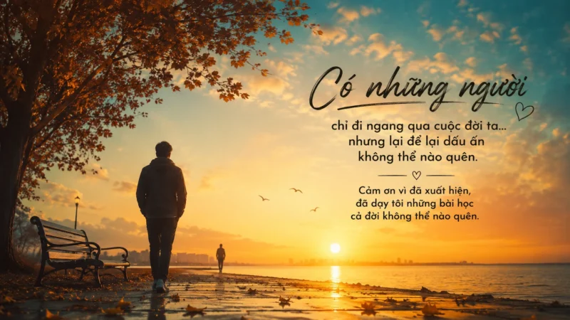 Người Đi Ngang Cuộc Đời – Nhưng Lại Thay Đổi Cả Trái Tim Bạn