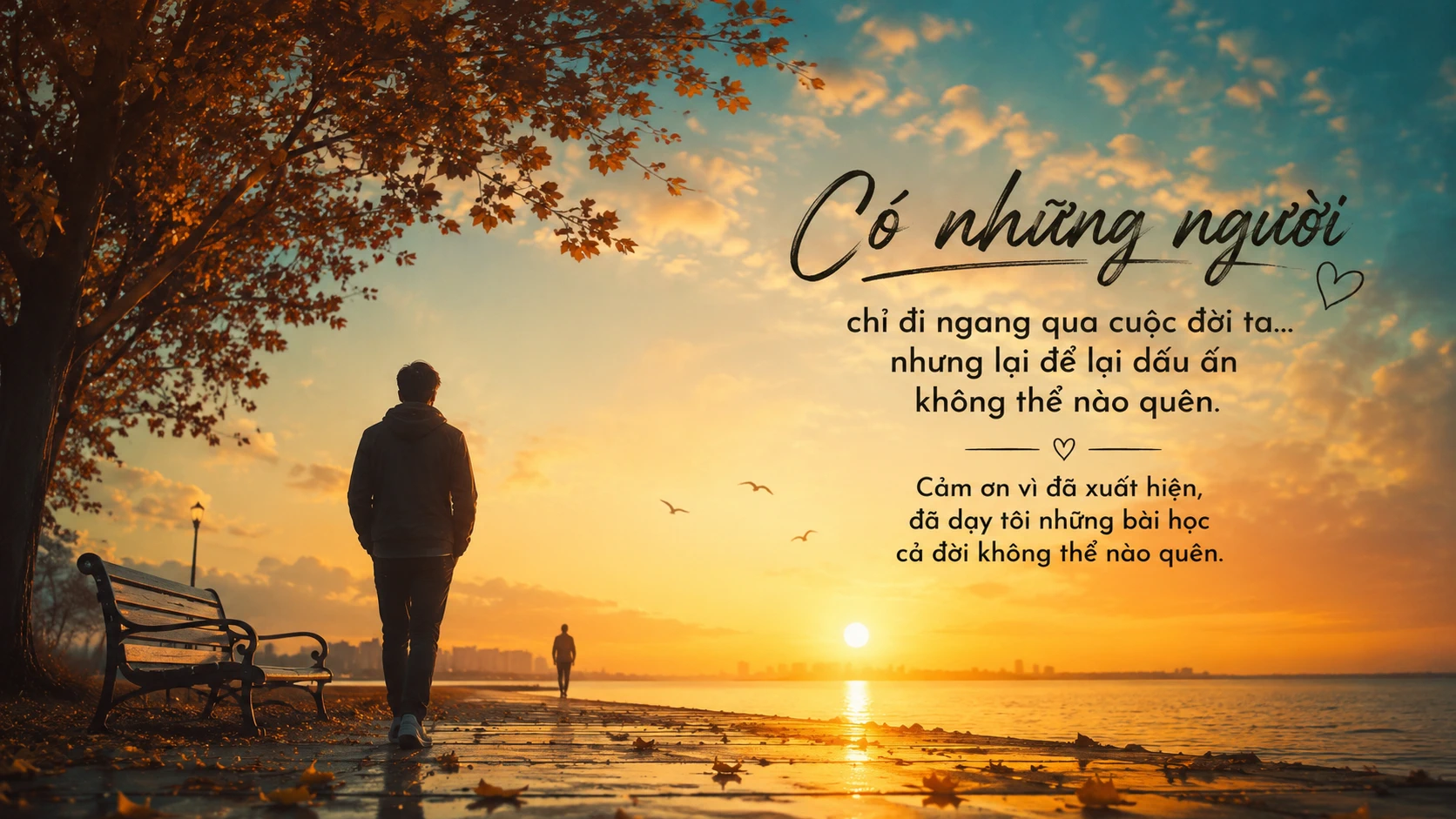 Người Đi Ngang Cuộc Đời – Nhưng Lại Thay Đổi Cả Trái Tim Bạn