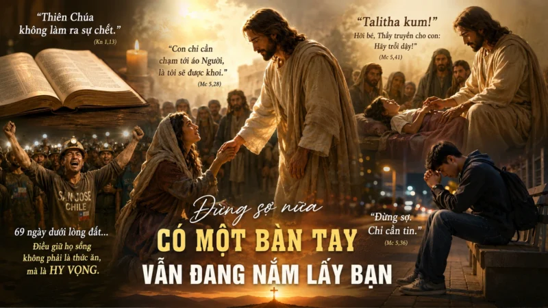 Đừng Sợ Nữa! Có Một Bàn Tay Vẫn Đang Nắm Lấy Bạn | Suy tư Chúa Nhật XIII Thường Niên A